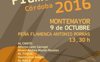 XIV Certamen Jóvenes Flamencos