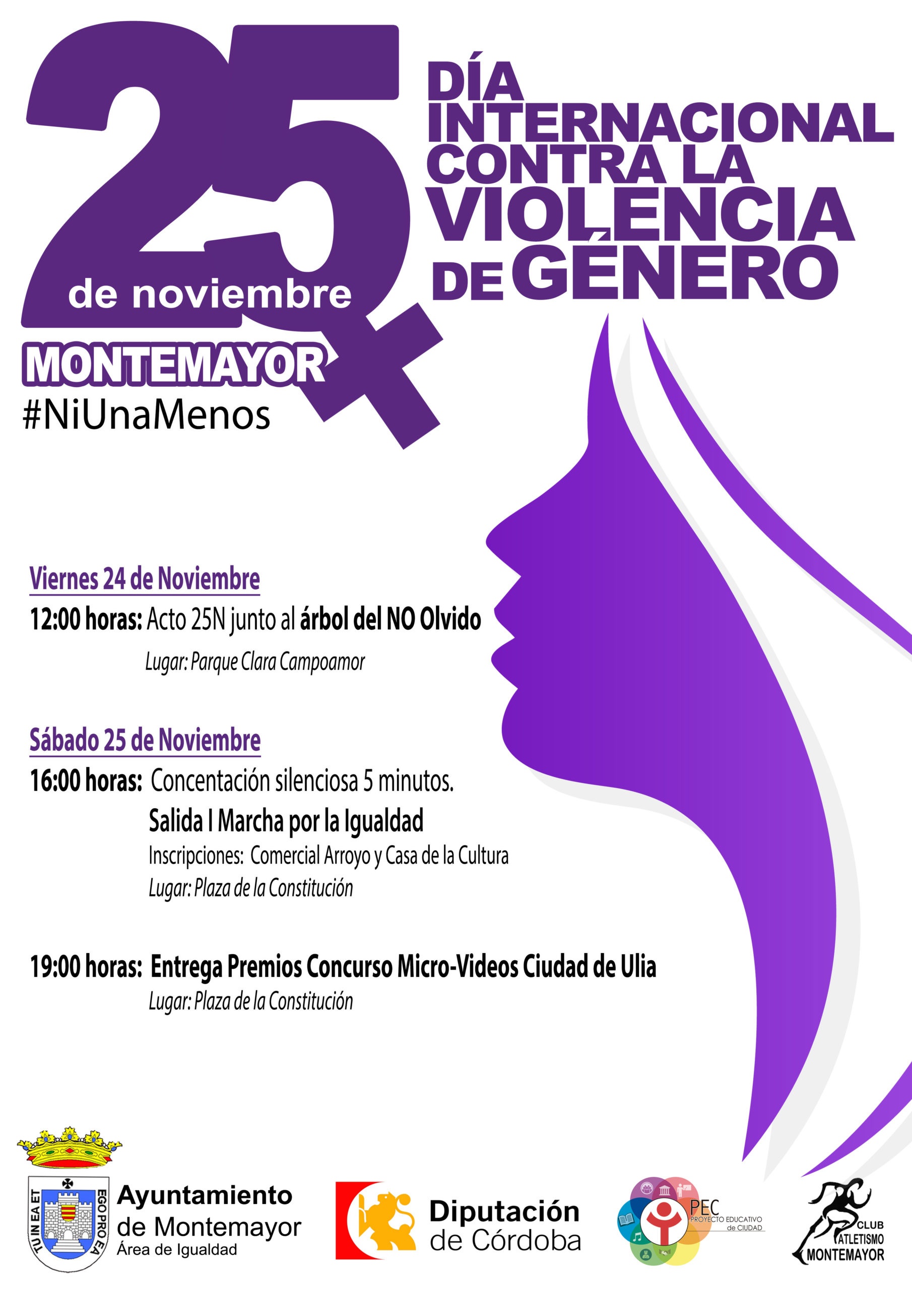 Día Internacional contra la violencia de Género 1