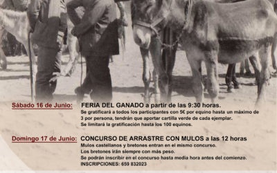 14 ed. Feria del Ganado Montemayor