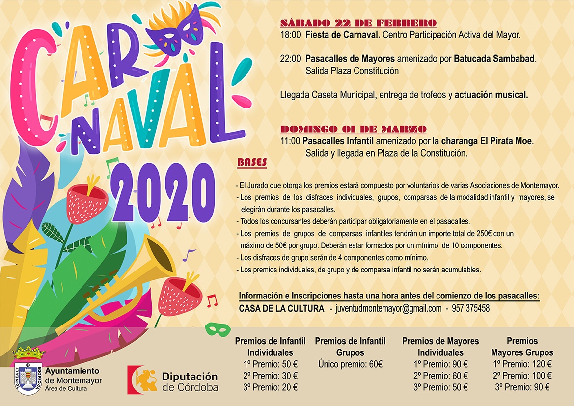Fiesta de Carnaval 2020 1