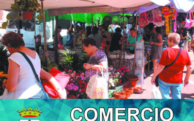 Cierre Comercio Ambulante