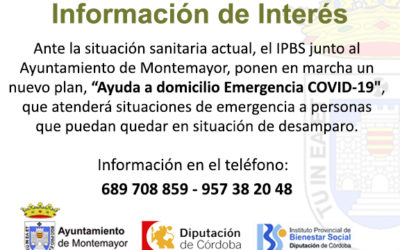 Ayuda a domicilio emergencia covid-19 IPBS