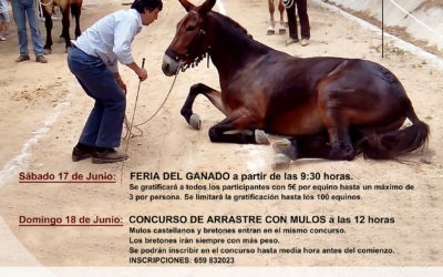 13 Edición Feria del Ganado.  Montemayor 2017