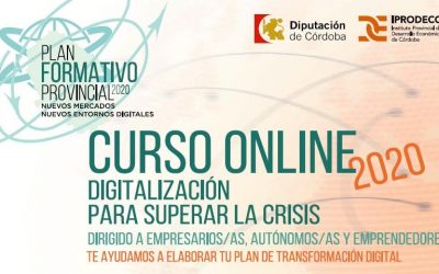 Curso Online «Digitalización para superar la crisis»