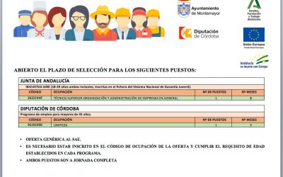 Programa de Empleo