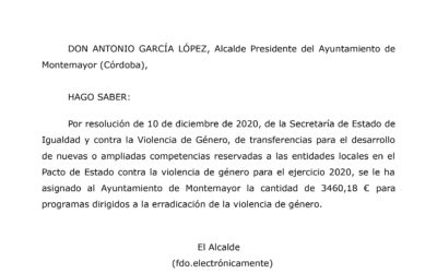 Publicación subvención Pacto de Estado 2020