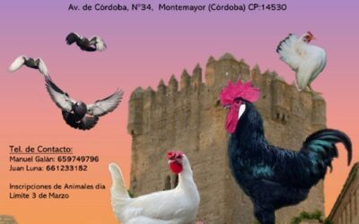 Concurso – Exposición Avícola 2024